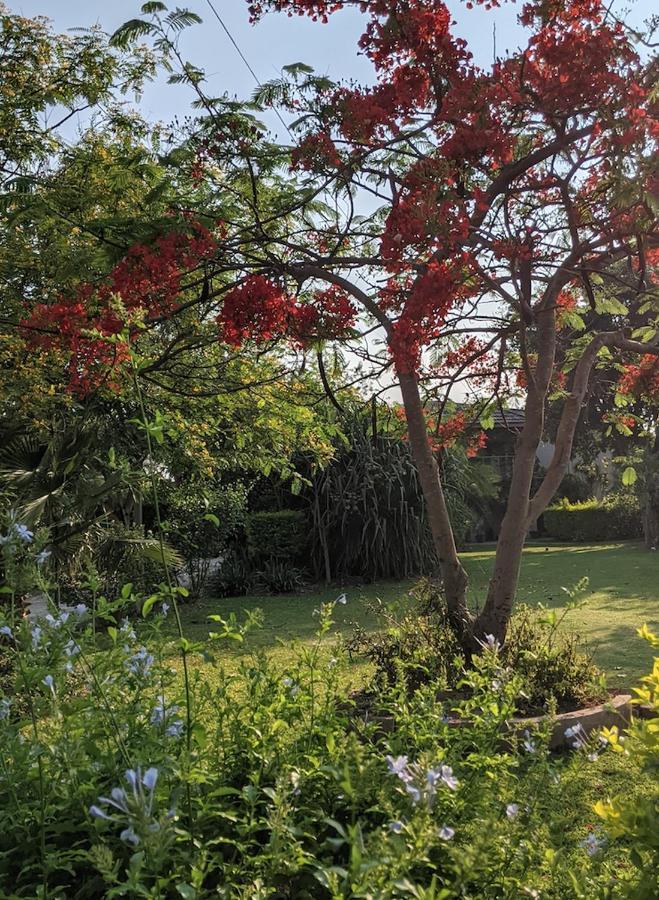 The Residence Villa Chobe Kasane Esterno foto