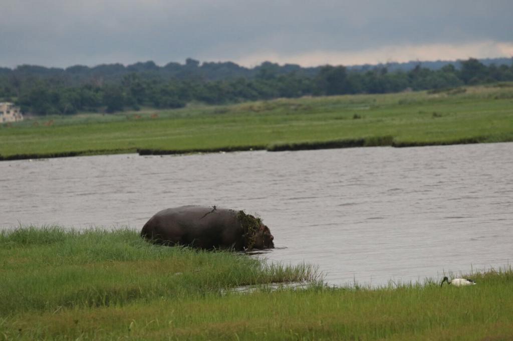 The Residence Villa Chobe Kasane Esterno foto